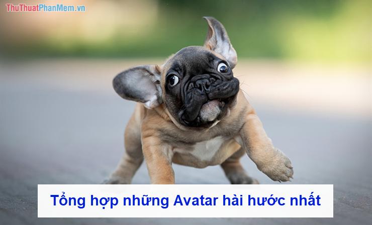 Tổng hợp những Avatar hài hước nhất