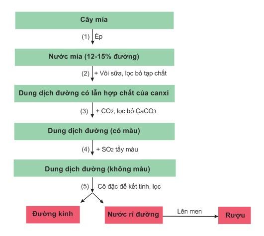 Quy trình sản xuất saccarozơ - lý thuyết saccarozơ tinh bột và xenlulozơ