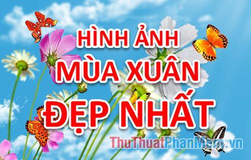 Tổng hợp những hình ảnh mùa xuân đẹp nhất