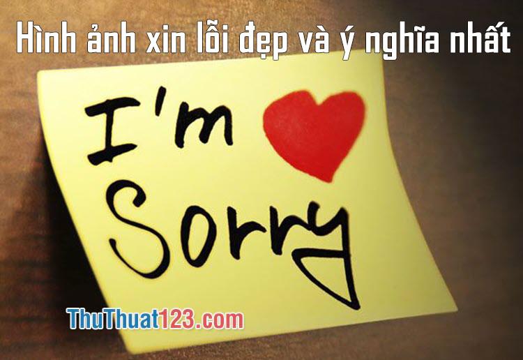 Những hình ảnh xin lỗi đẹp và ý nghĩa