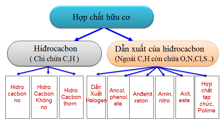 Phân loại hợp chất hữu cơ