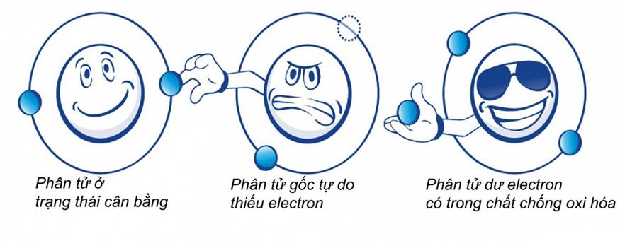 oxi hóa là gì? oxi hóa là quá trình một phân tử bị mất electron