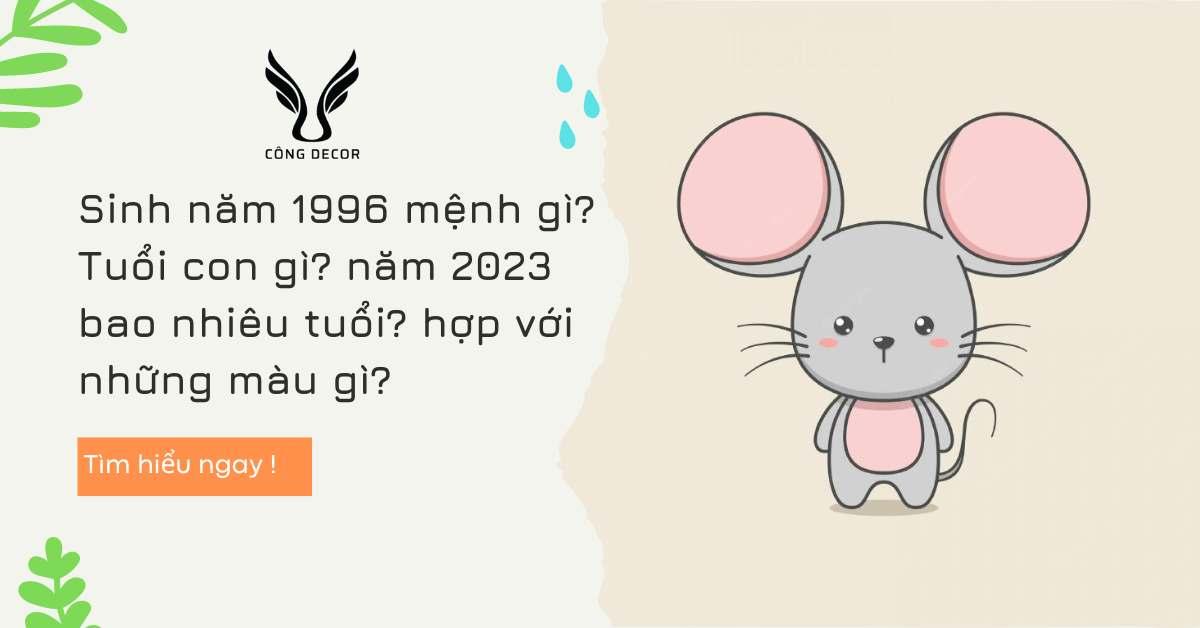 Sinh Năm 1996 Mệnh Gì? Năm Nay Bao Nhiêu Tuổi? Tuổi Con Gì? Hợp Mệnh Nào?