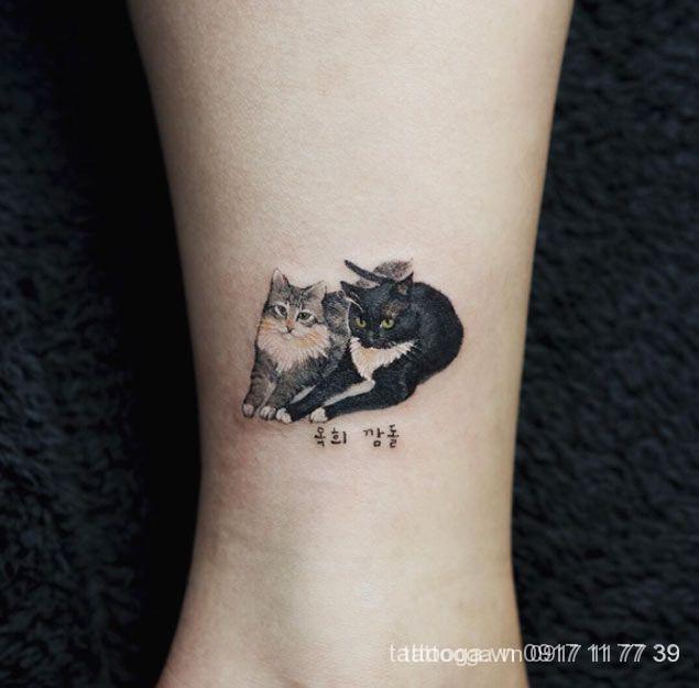 Hình xăm con mèo – Mr.TATTOO