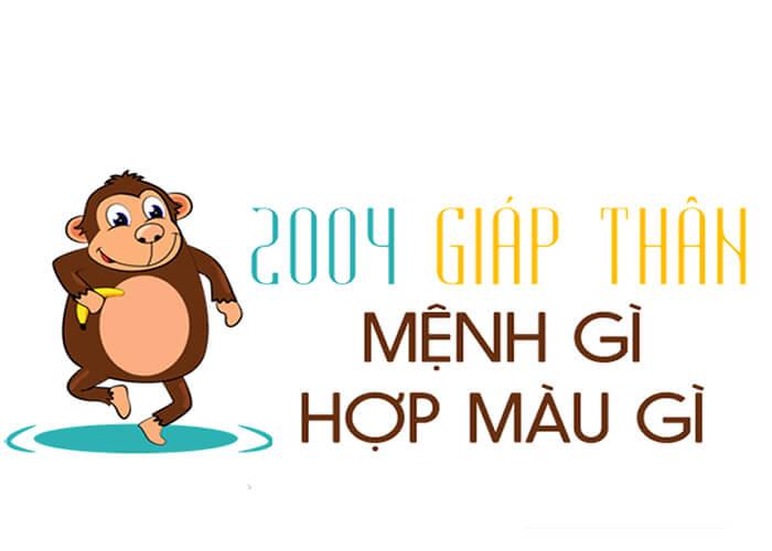 sinh-nam-2004-menh-gi