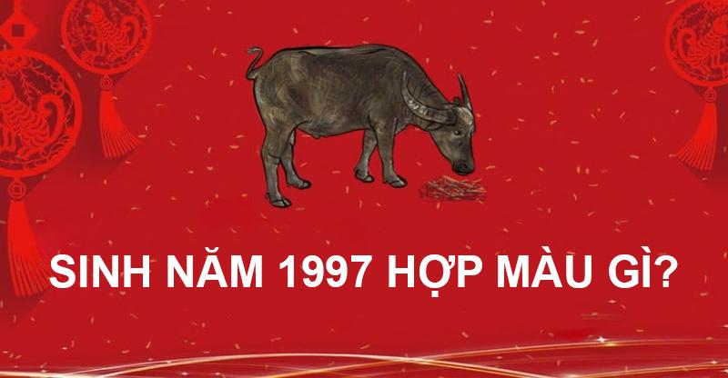 Sinh năm 1997 hợp màu gì?