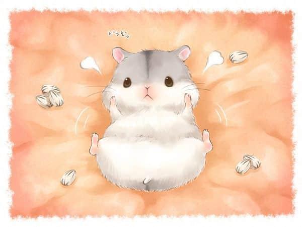 Chuột Hamster Chibi Cute