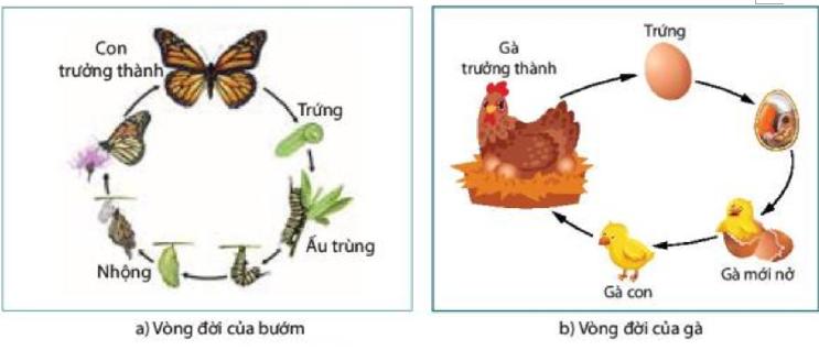 Tài liệu VietJack