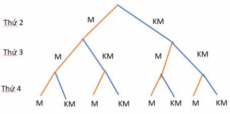 n(Omega ) = 25.