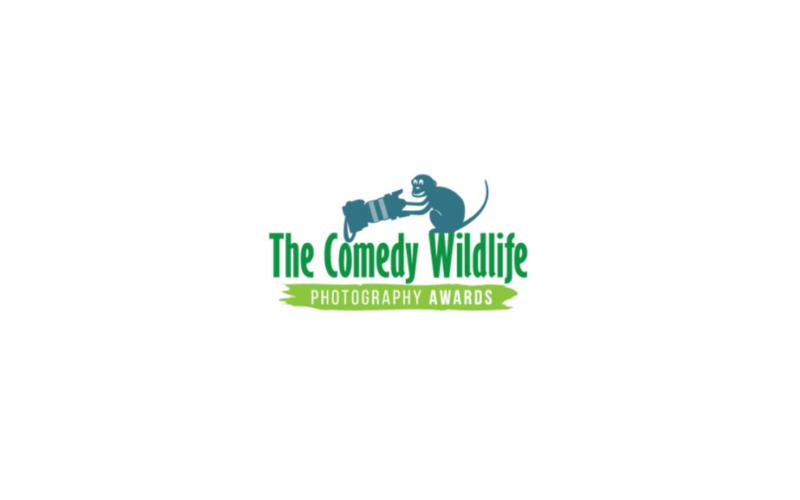 Comedy Wildlife Photo Award Giải thưởng dành cho nhiếp ảnh gia chuyên chụp động vật