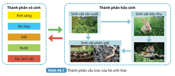 Đọc thông tin trên và quan sát Hình 44.1 phân tích thành phần của một hệ sinh thái