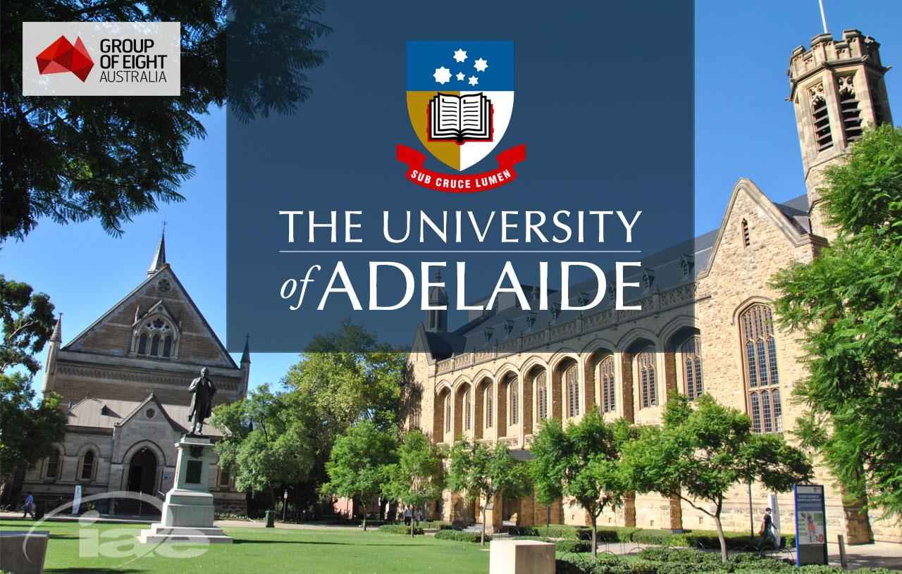 Học Bổng đến từ University of Adelaide