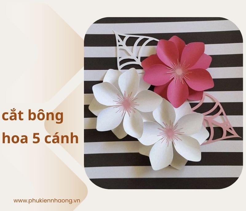 cắt bông hoa 5 cánh